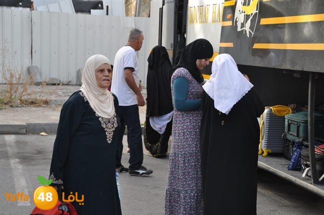 lud 3omrajs (49).JPG